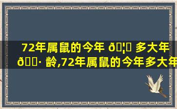 72年属鼠的今年 🦊 多大年 🌷 龄,72年属鼠的今年多大年龄1962